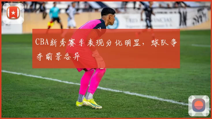 CBA新秀赛季表现分化明显，球队争夺前景各异