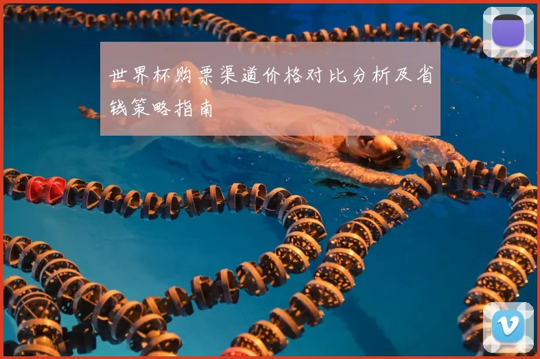 世界杯购票渠道价格对比分析及省钱策略指南