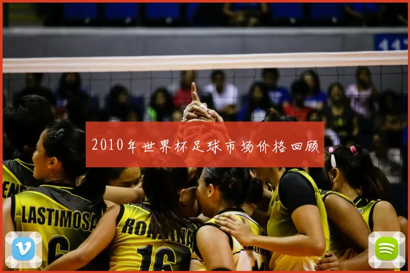2010年世界杯足球市场价格回顾