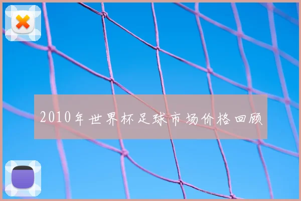 2010年世界杯足球市场价格回顾